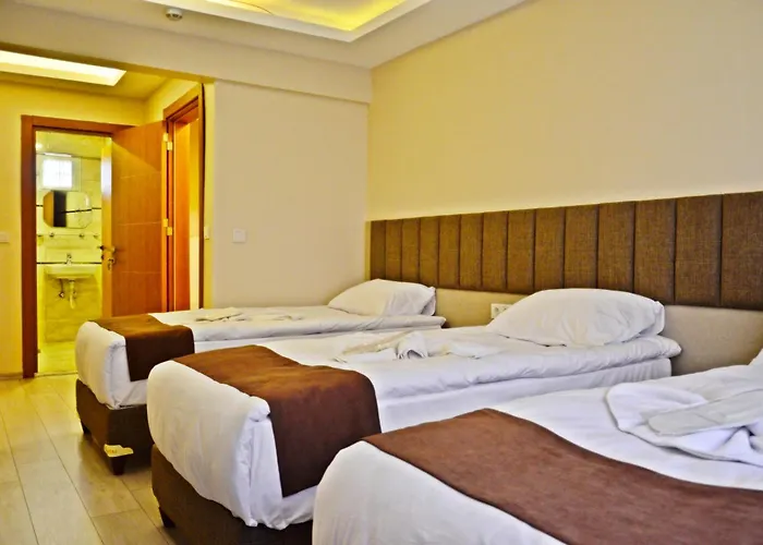 فندق Yesilirmak Aparts *